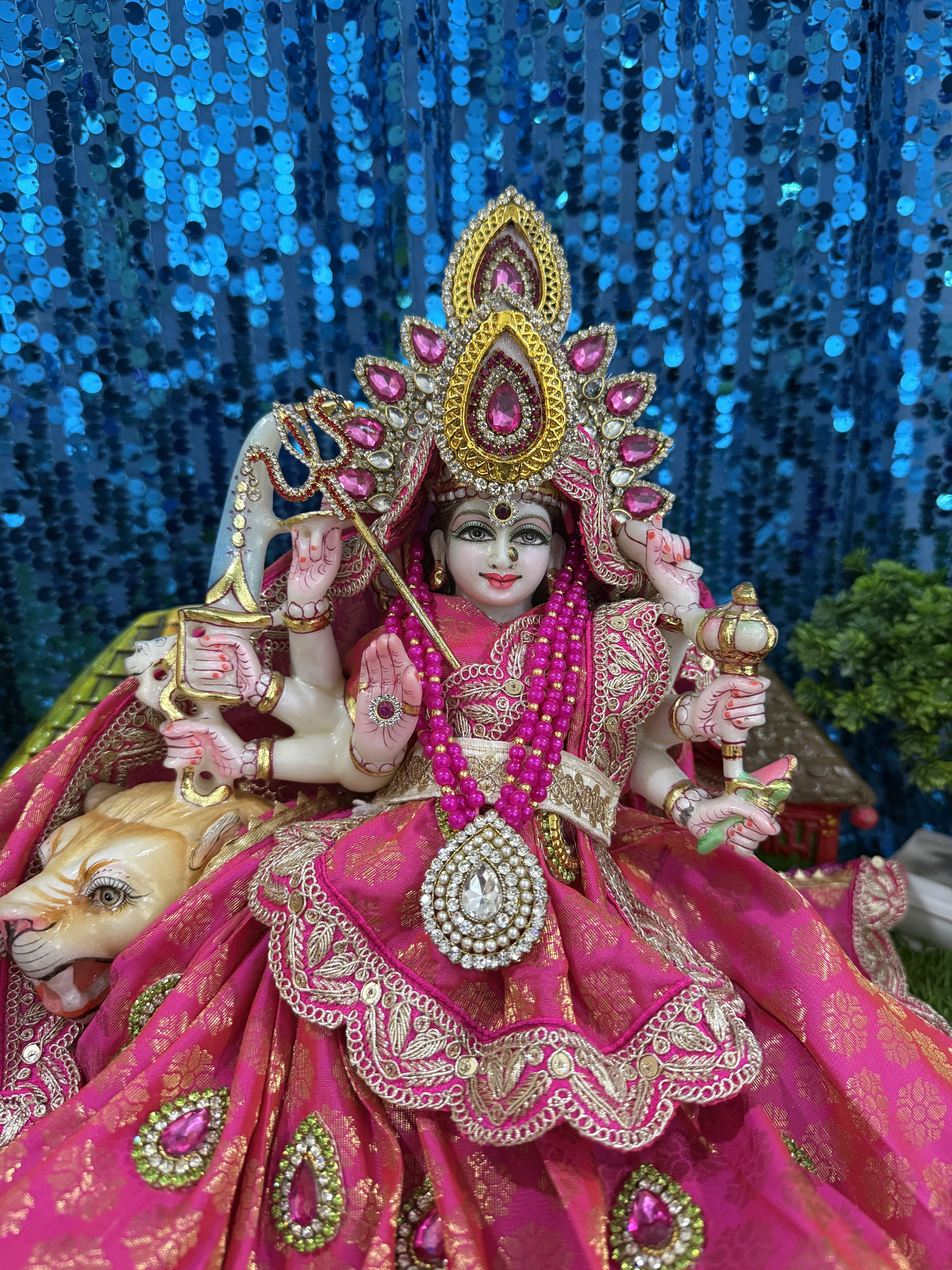 🌟 Mata Rani (Pink)
