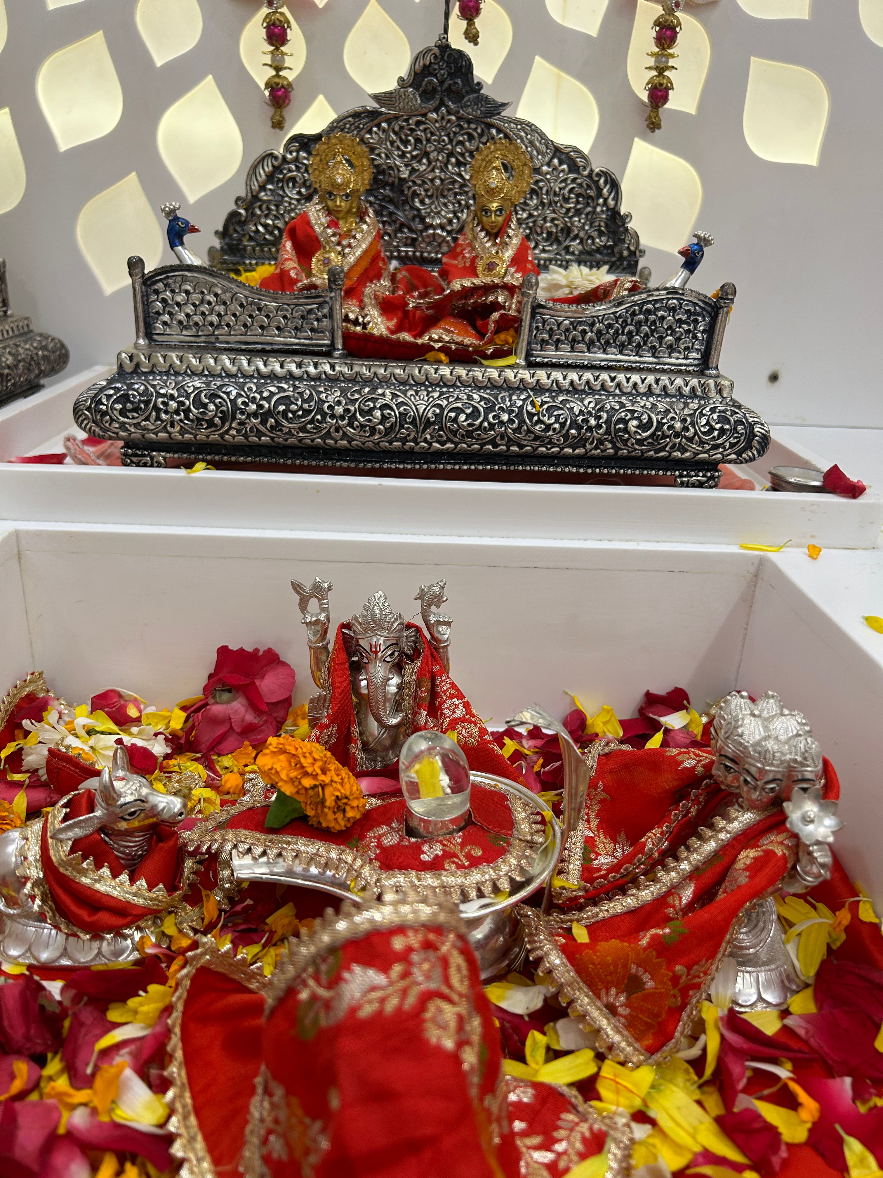 🌟 Gauri Shankar (Orangealicious)