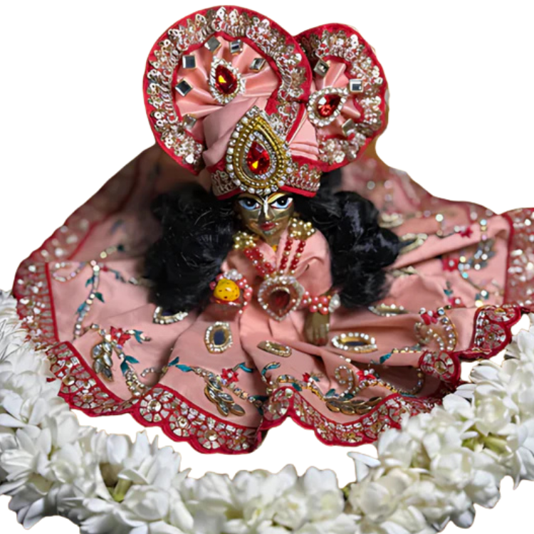 🌟 Laddu gopal ( Pink)