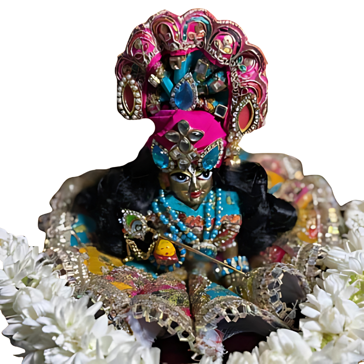 🌟 Laddu gopal (Sky Blue & Dark Pink)