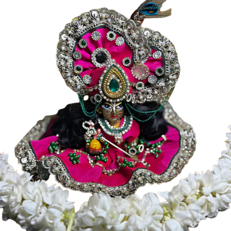 🌟 Laddu gopal ( Dark Pink)
