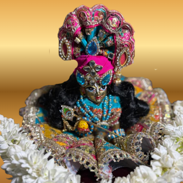 🌟 Laddu gopal (Sky Blue & Dark Pink)